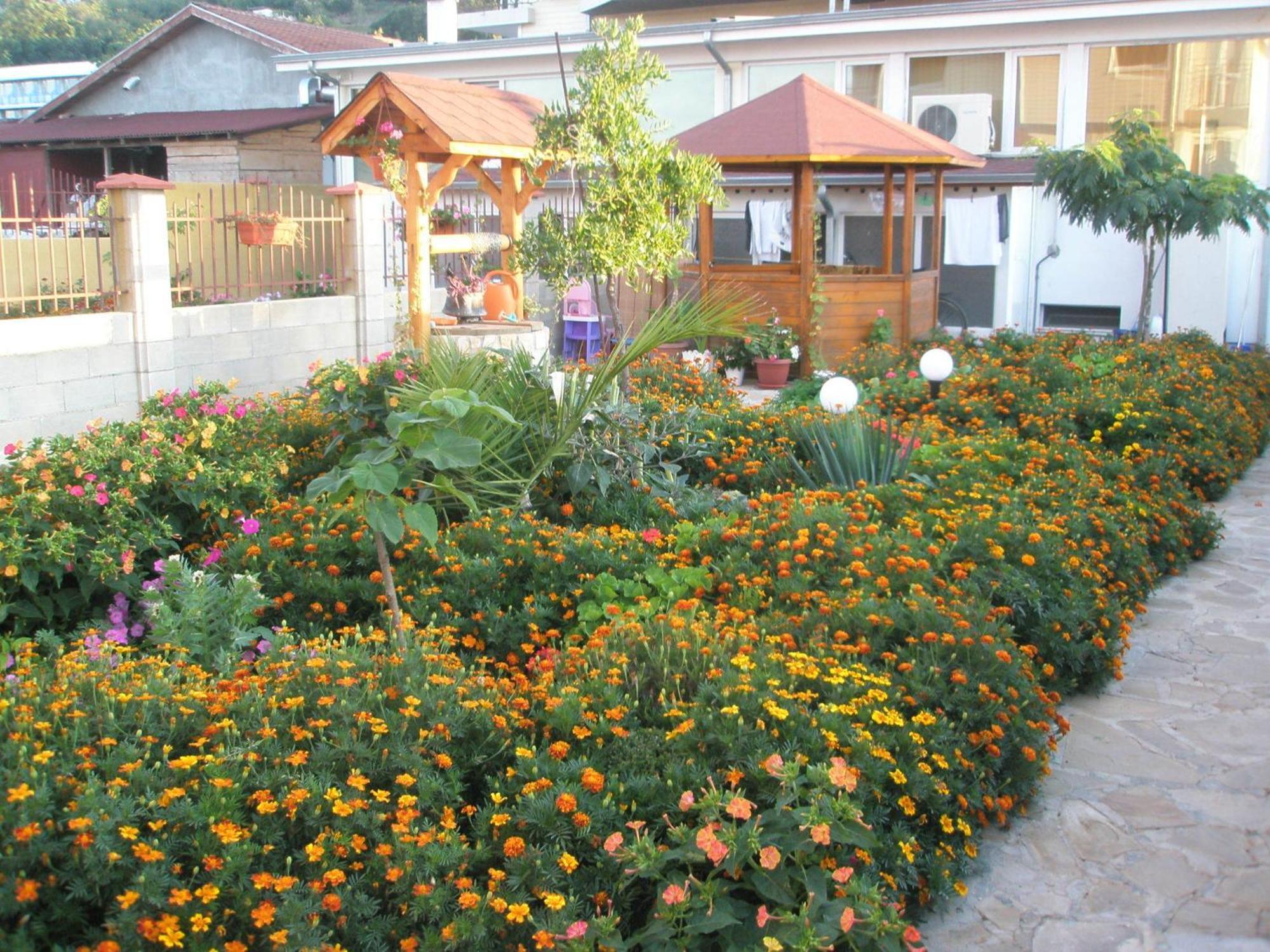 Hotel Morski Dar Kranewo Zewnętrze zdjęcie